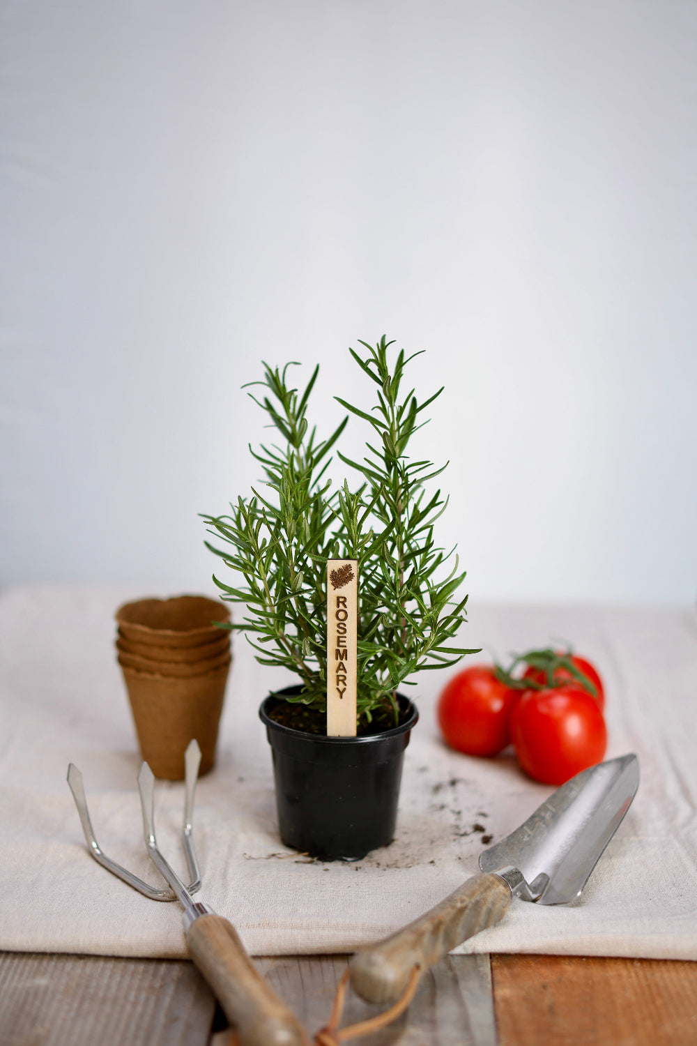 Potted rosemary plant with gardening tools and a garden marker on a wood surface