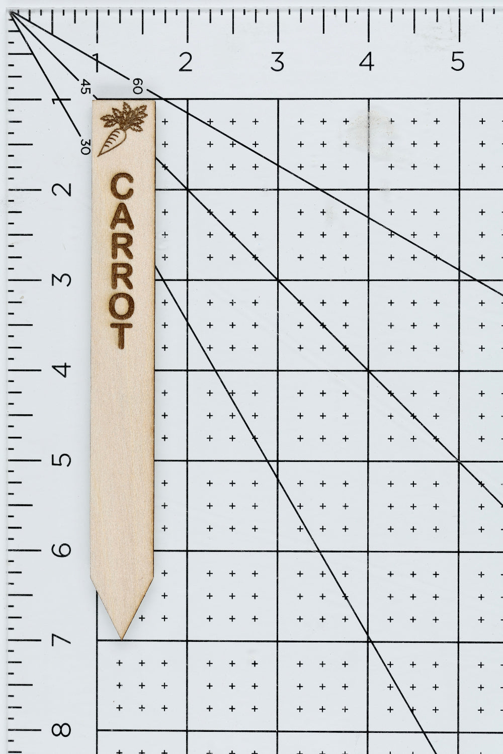 Wooden carrot plant marker on a grid surface with measurement scale